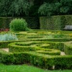 Zielony labirynt z żywopłotu w spokojnym ogrodzie parkowym