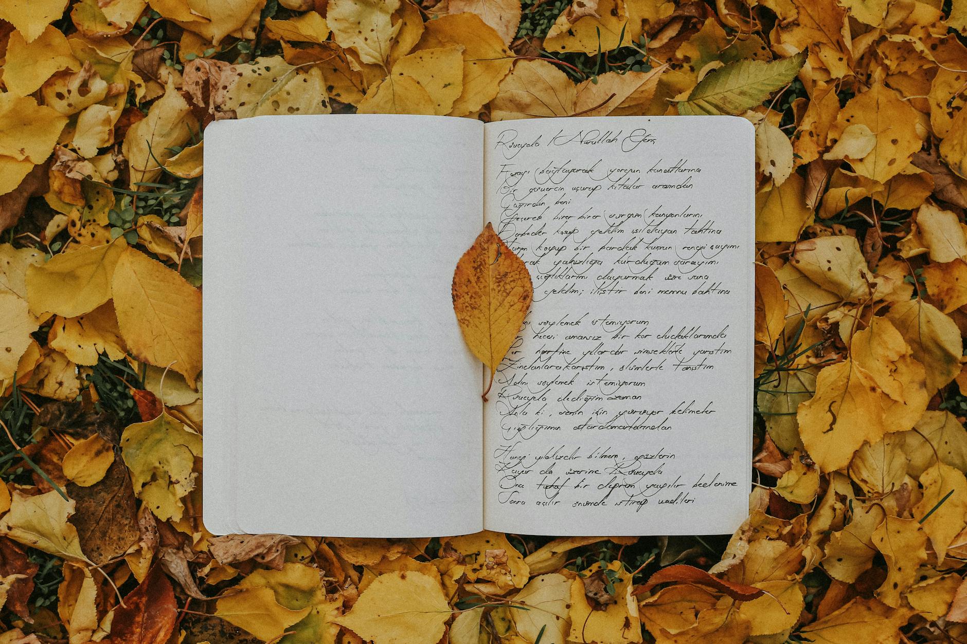 Otwarty zeszyt z odręcznymi notatkami wśród kolorowych liści jesieni Otwarty zeszyt z odręcznymi notatkami wśród kolorowych liści jesieni